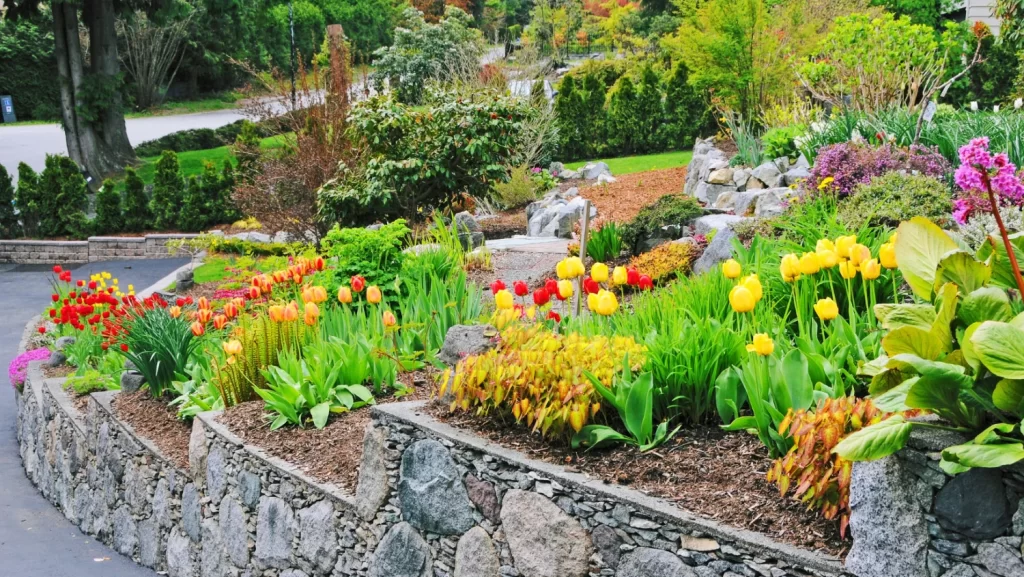 Get the best landscapers in Victoria BC