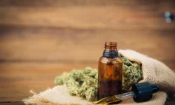 Daily Calm: Incorporating CBD into Your Routine for Better Anxiety Control